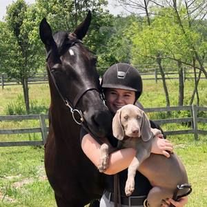 Meet your Posher, Amelia